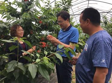 微信图片_20190617090136