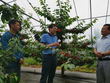 cb606f9e1ce0ae1acebe07aa6684735